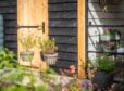 Zwart houten tuinhuis met veranda met planten in de tuin